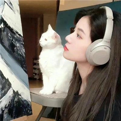 错体姻缘粤语
