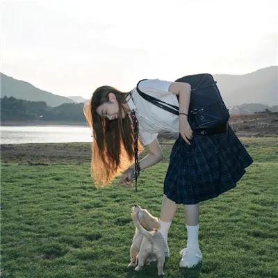 群蛇出洞